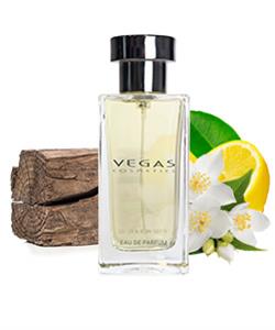051 - Eau de Parfum Men - inspired on Aqua di Gio - Armani - 100 ml